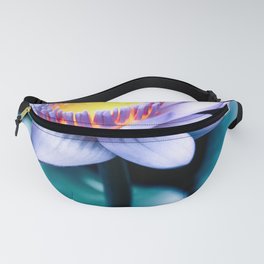 Radiance Fanny Pack