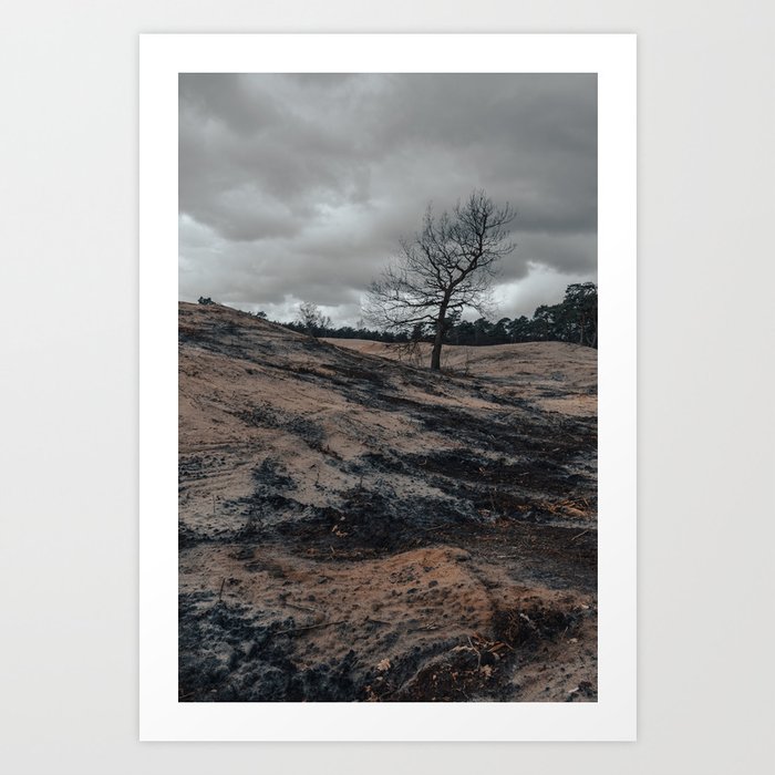 Lonely tree in wild landscape Art Print