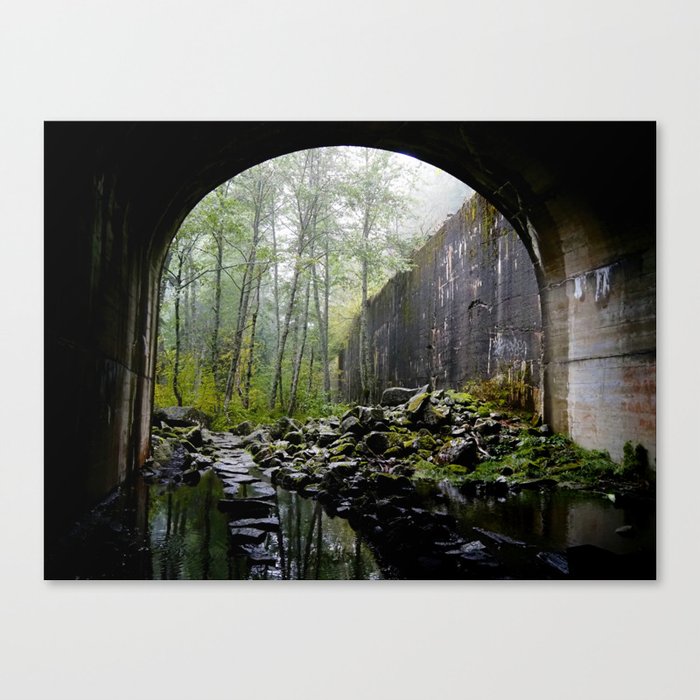 Train tunnel through the trees Canvas Print