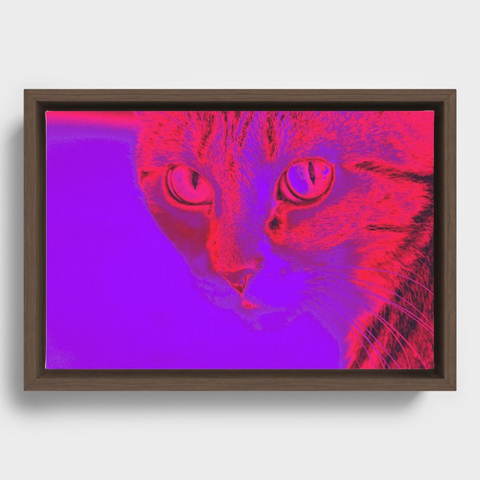 Apple the Cat Framed Canvas