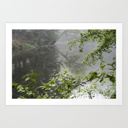 Foggy Morning Art Print | Reflection, Nature, Newengland, Newhampshire, Foggy, Color, Photo, Fog, River, Morning 