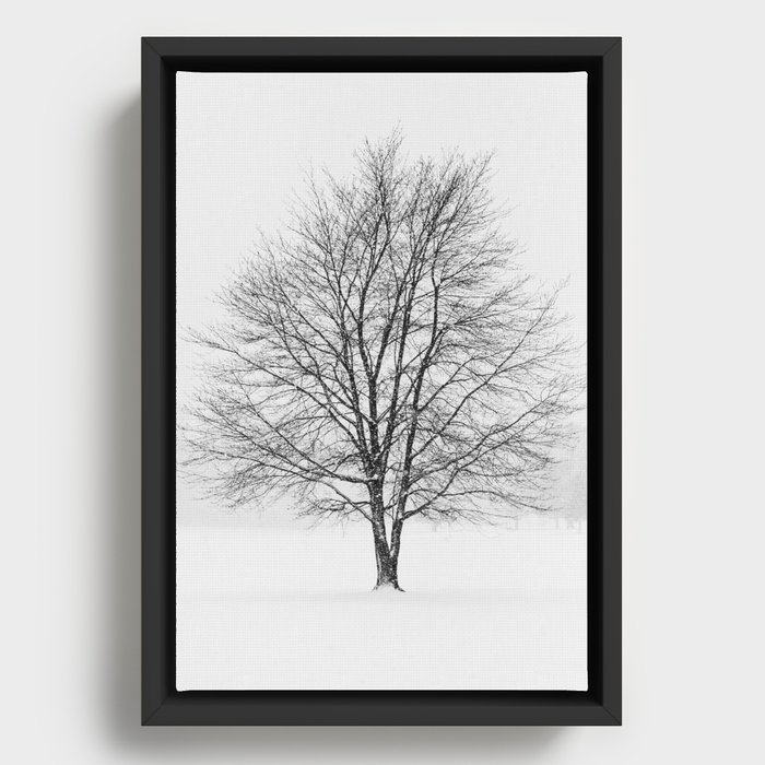 tree in white Framed Canvas