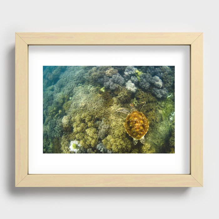 Turtle reef launch Recessed Framed Print