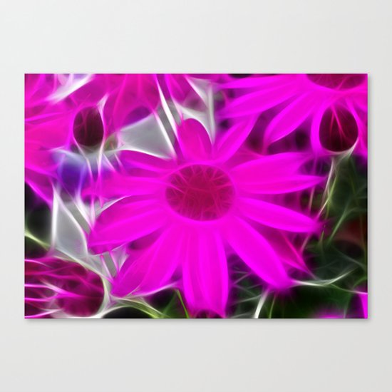 Senetti Daisy Canvas Print