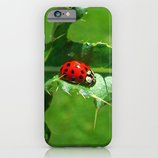 ladybug III iPhone & iPod Case