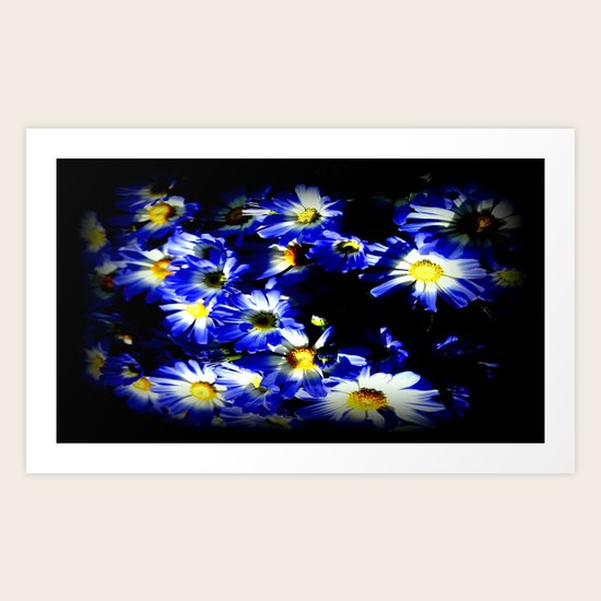 Blue Daises Art Print