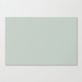 Calming Light Blue Green Grey Solid Color Pairs To Sherwin Williams Rainwashed SW 6211 Canvas Print
