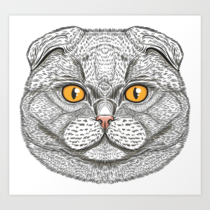 Scottish Fold Cat Art Print By Ireneart Society6