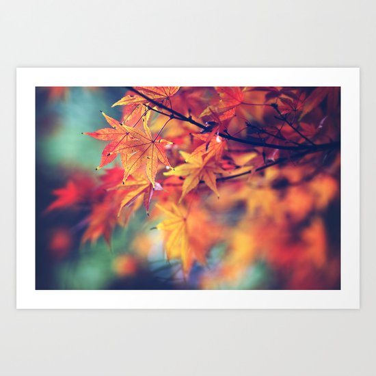 fall leaves Art Print