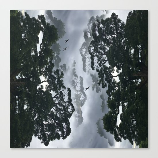 Beautiful Echo Canvas Print