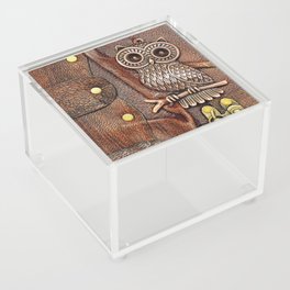 Owl Patchwork  Acrylic Box