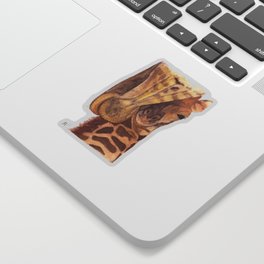 Baby giraffe and his mother Sticker