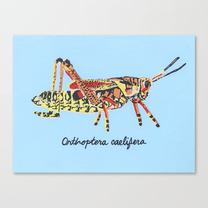 The Common Grasshopper Canvas Print