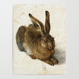 Albrecht Durer - Hare Poster
