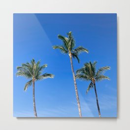 Three Little Palm Trees Metal Print