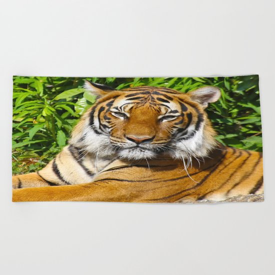 Tiger Beach Towel