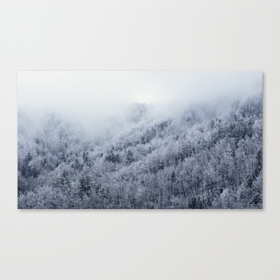Winter Cometh Canvas Print