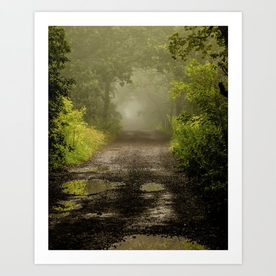 Misty Woodland Lane II Art Print