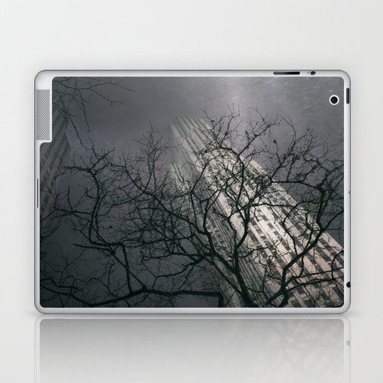 The Rock Laptop & iPad Skin