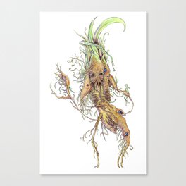 Spring Rhizome Canvas Print