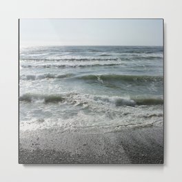 Sand Dollar Beach Metal Print | Nature, Landscape, Photo 