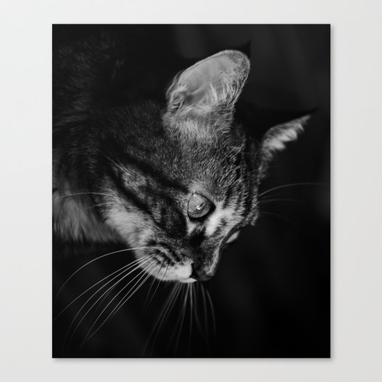 kitten in black and white Canvas Print