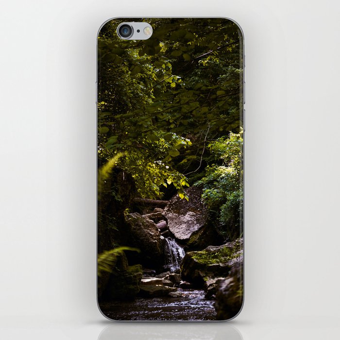 Clifty Falls State Park iPhone Skin