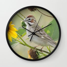 Lark Sparrow Wall Clock | Yellow, White, Flower, Sunflower, Gray, Sandimasca, Leaf, Larksparrow, California, Bird 