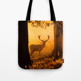 Deer in a danish forest Tote Bag