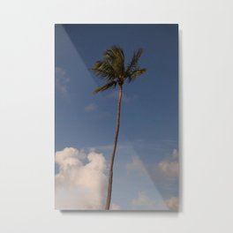 A1A Boulevard Metal Print | Beach, Digital, Digital Manipulation, Palm, Color, Clouds, Coastal, Goodvibes, Beachy, Palmtree 