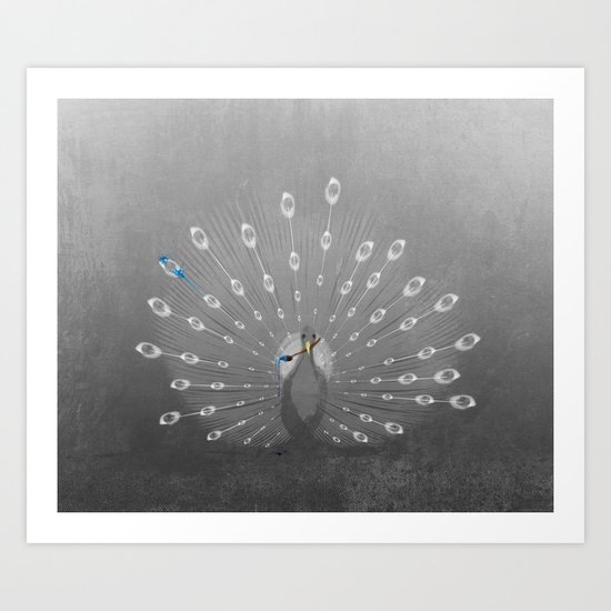 A splash of color Art Print