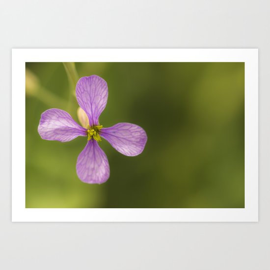 nature in purple Art Print