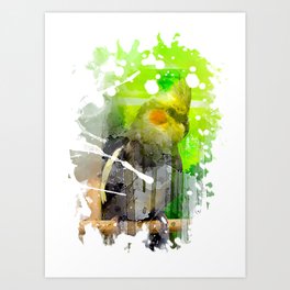 Parrot Art Print | Splash, Aerosol, Painting, Splatter, Parrot, Drawing, Colorful, Happy, Green, Bird 