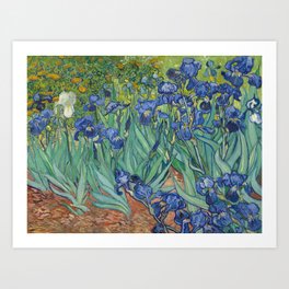 Irises, Vincent Van Gogh Art Print