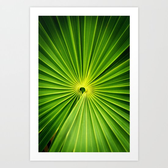 Palm Leaf Art Print