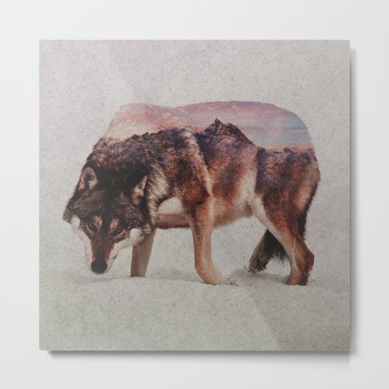 Wolf Metal Print