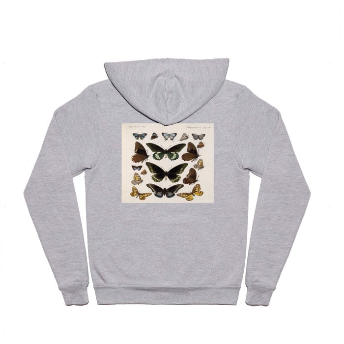 Vintage Scientific Insect Butterfly Moth Biological Hand Drawn Species Art Illustration Hoody