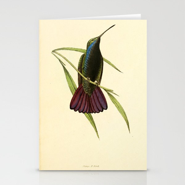 Mango Hummingbird by William Swainson, 1841 (benefitting the Nature Conservancy) Stationery Cards