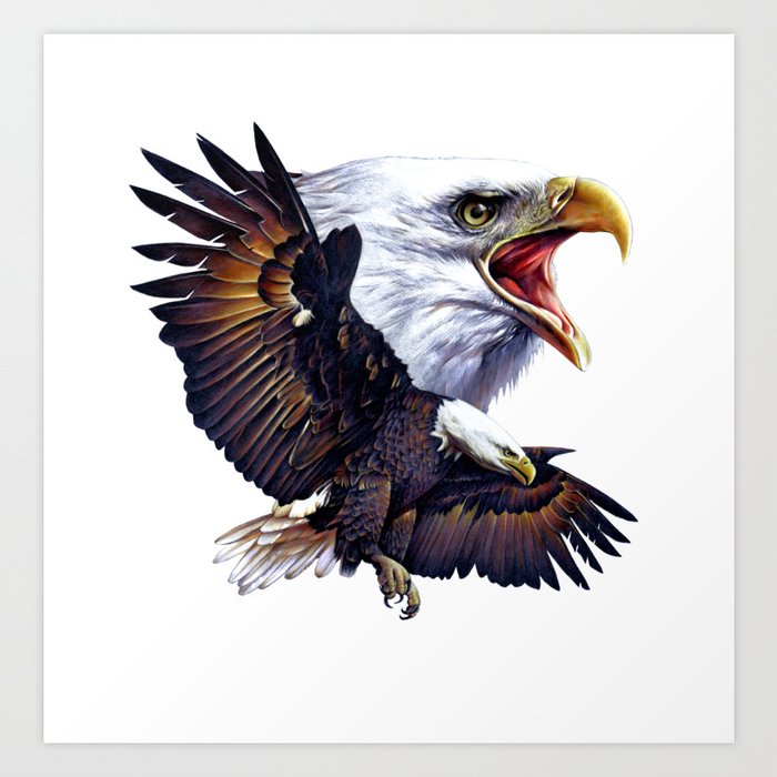 Bald Eagle Art Print by Salmoneggs