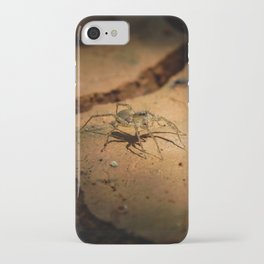Macro Arachnid  iPhone Case