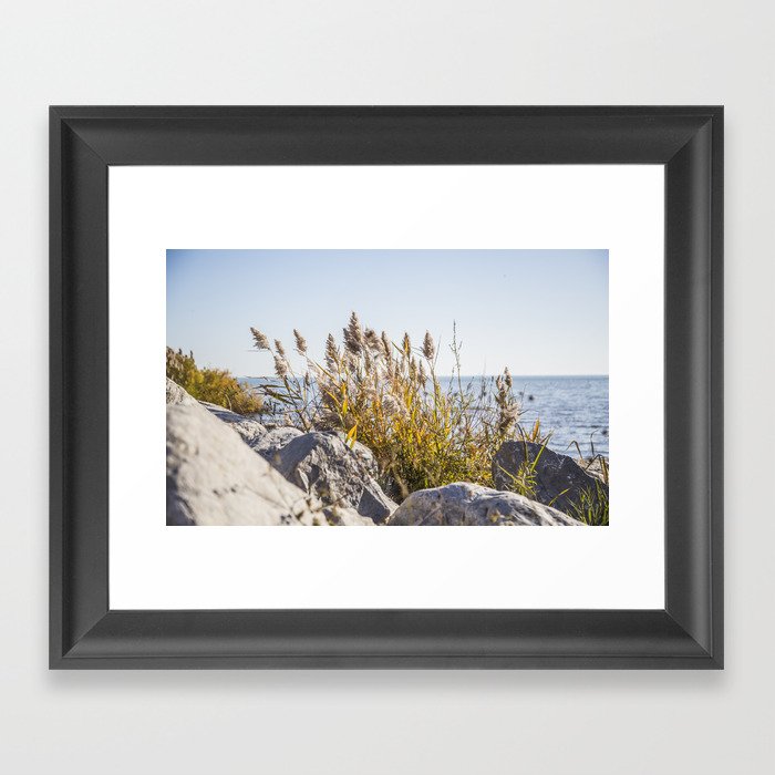 Seaside Plants Framed Art Print