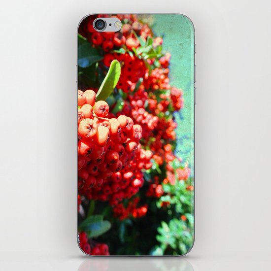 Brightening II iPhone & iPod Skin
