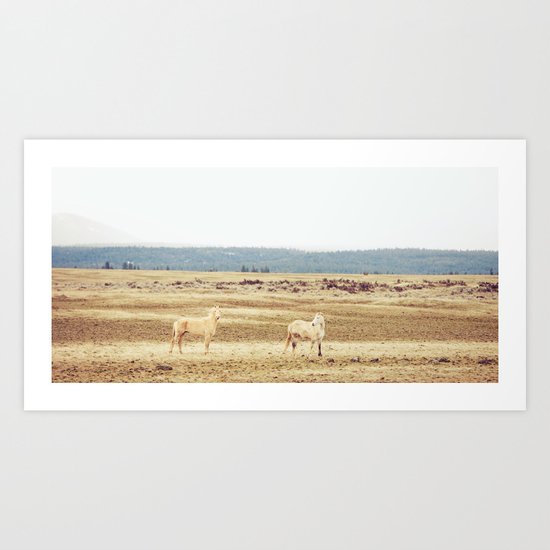 Two Oregon Horses Art Print