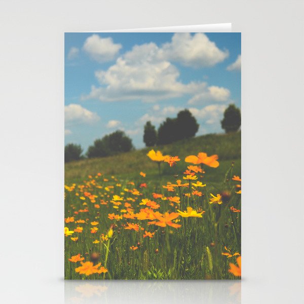 Dreaming in a Summer Field - boho nature wildflower photograph Stationery Cards