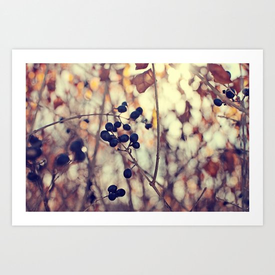 Autumn Sun in Ohio Art Print
