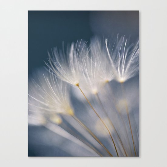 soft lights Canvas Print