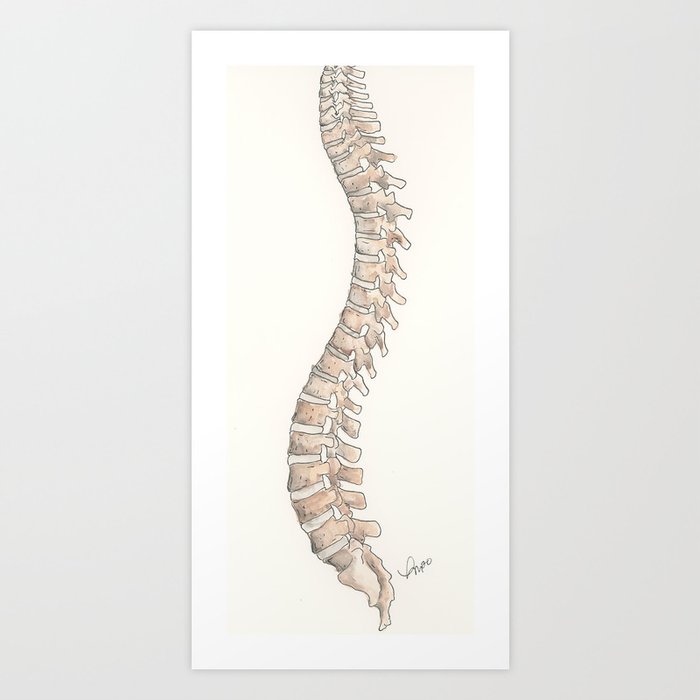 Watercolor Spine Art Print