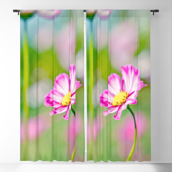 Sweet Pink Kula Cosmos Sensation Blackout Curtain