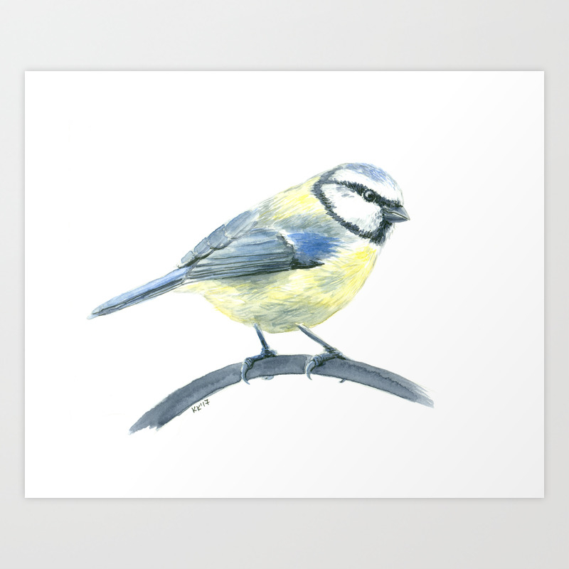 Blue Tit watercolor and ink