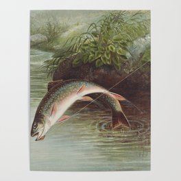 Leaping Brook Trout chromolithograph (1874) by Samuel Kilbourne Poster